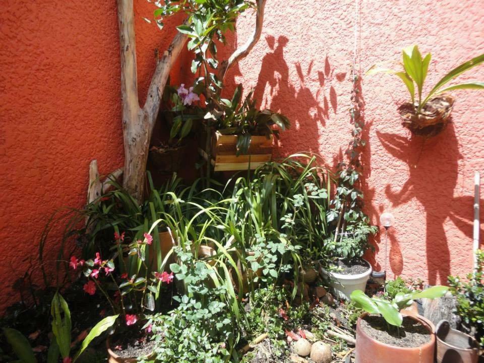 Hostal Del Carmen Villa de Leyva Esterno foto